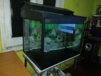 Fish Tank