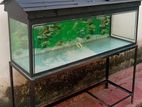 Fish Tank