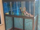 Fish tank