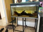 Fish tank
