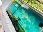 Fish Tank