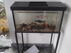 Fish Tank with Fishes