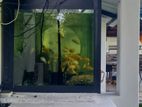 fish tank