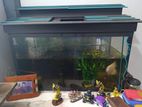 Fish Tank
