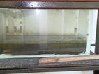 Fish Tank