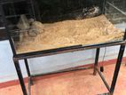 fish tank