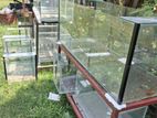 Fish Tanks