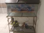 Fish Tank