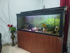 Fish Tank
