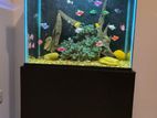 Fish Tank with