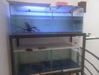Fish Tank with Accessories