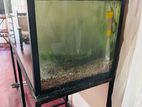 Fish Tanks