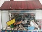 Fish Tank