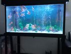Fish Tank