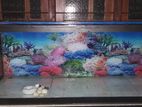 Fish Tank