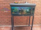 Fish Tanks