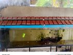 Fish Tank