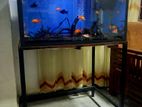 Fish Tank with Full Set