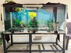 Fish Tank(used)