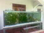 Fish Tank