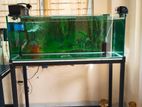 Fish Tank