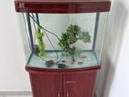 Fish Tank