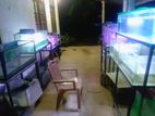 Fish Tank