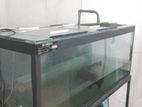 Fish Tank with Accessories