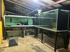 Fish Tank