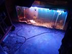 fish tank