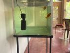 Fish Tank