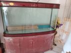 fish tank