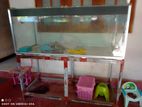 Fish tank