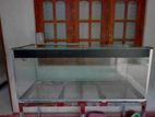 FISH TANK
