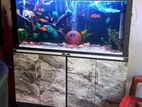 fish tank