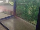 FISH TANK