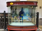 Fish Tank