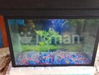 Fish Tank