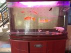 Fish Tank