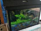 Fish Tank