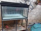 Fish Tank