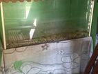 Fish Tank