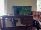 Fish Tank