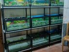Fish Tank with Full Rack
