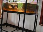 Fish Tank
