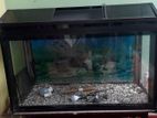 Fish tank