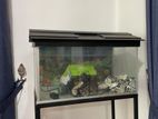 Fish Tank with Accessories