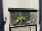 Fish Tank with Accessories