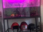 Fish Tank with Stand