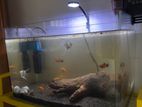 Fish Tank with